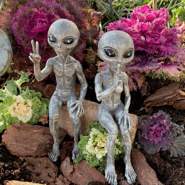 👽Outer Space Alien Dude and Babe Shelf Sitters✨Buy 2 Sets Save 10%✨