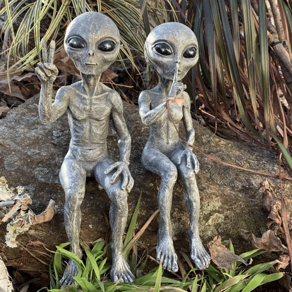 👽Outer Space Alien Dude and Babe Shelf Sitters✨Buy 2 Sets Save 10%✨