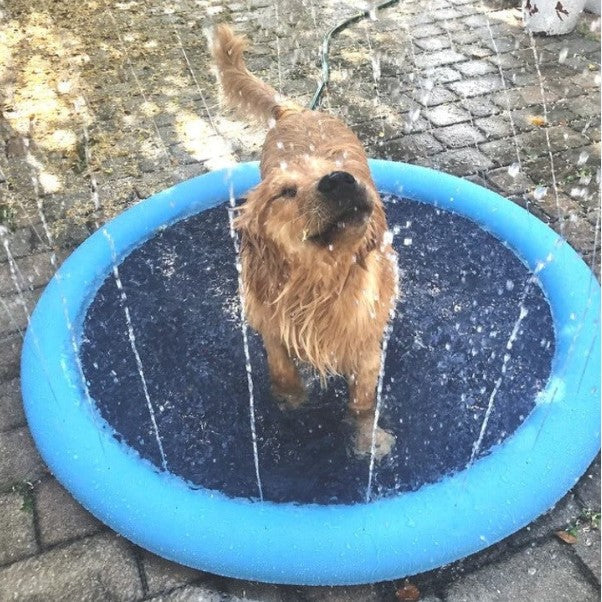 Pet Sprinkler Pad