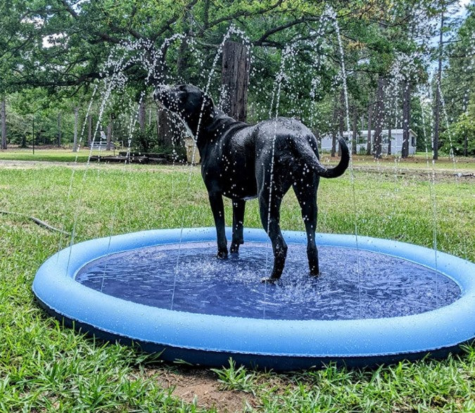 Pet Sprinkler Pad