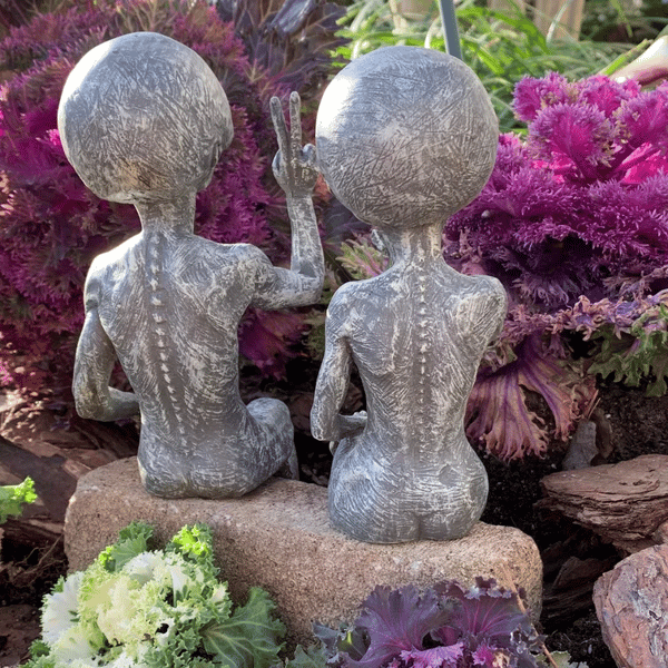 👽Outer Space Alien Dude and Babe Shelf Sitters✨Buy 2 Sets Save 10%✨