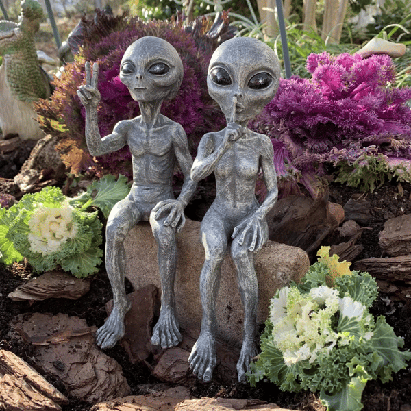 👽Outer Space Alien Dude and Babe Shelf Sitters✨Buy 2 Sets Save 10%✨