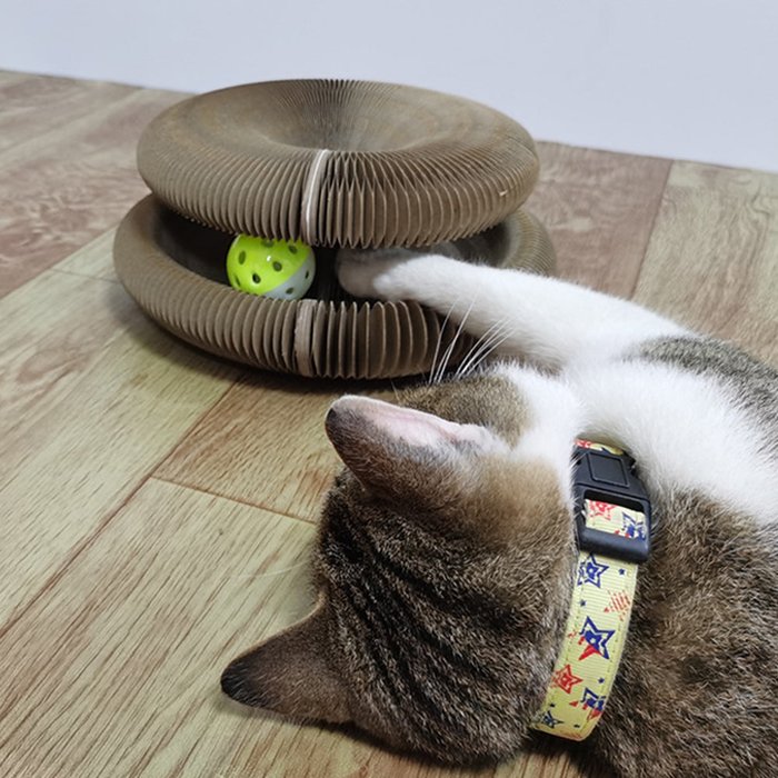 Magic Organ Cat Scratching Board--Comes with a toy bell ball