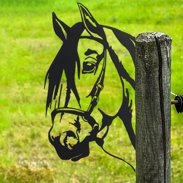 Animal Metal Voyeur Art