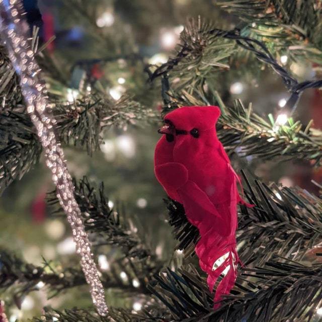 Feathered Cardinal Birds Tree Ornaments