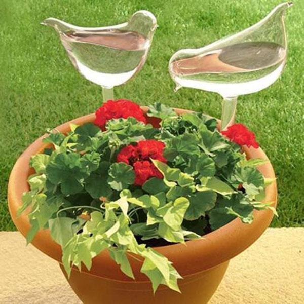 50% OFF-Self-Watering Plant Glass Bulbs