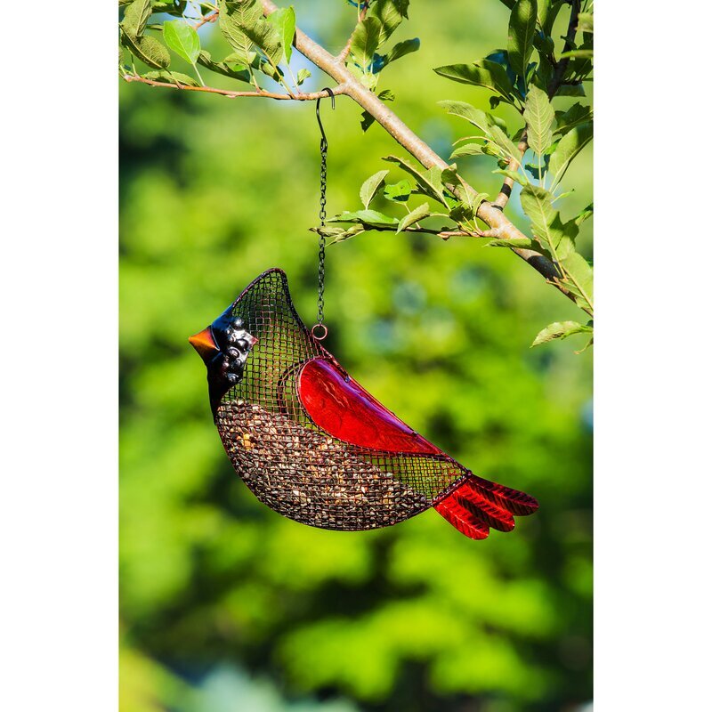 Ceana Cardinal Seed Decorative Bird Feeder