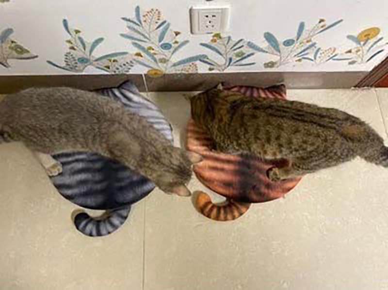 "Cat Back" Seat Cushion