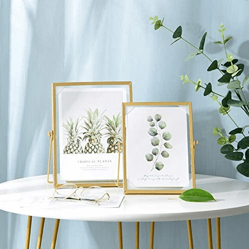 Golden Retro Glass Metal Photo Frame Artwork Picture Frame for Pothos, Plant Specimen Tabletop Display