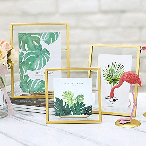 Golden Retro Glass Metal Photo Frame Artwork Picture Frame for Pothos, Plant Specimen Tabletop Display