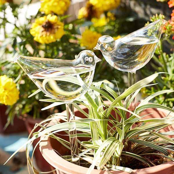 50% OFF-Self-Watering Plant Glass Bulbs